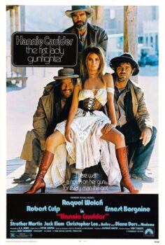 İntikam meleği (1971) izle