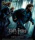 Harry Potter ve Ölüm Yadigârları: Bölüm 1 izle