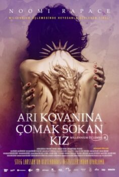 Milenyum Serisi 3: Arı Kovanına Çomak Sokan Kız izle