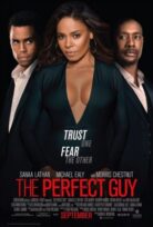 The Perfect Guy izle