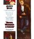 Asi Gençlik (1955) izle