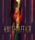 Amish Affair izle