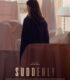 Aniden izle